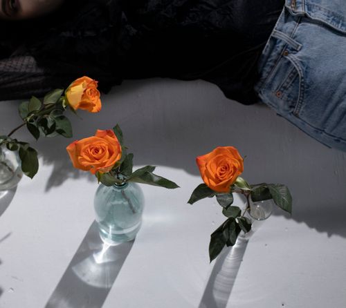 Free From above of crop anonymous female in jeans near orange roses in vases with clean water Stock Photo