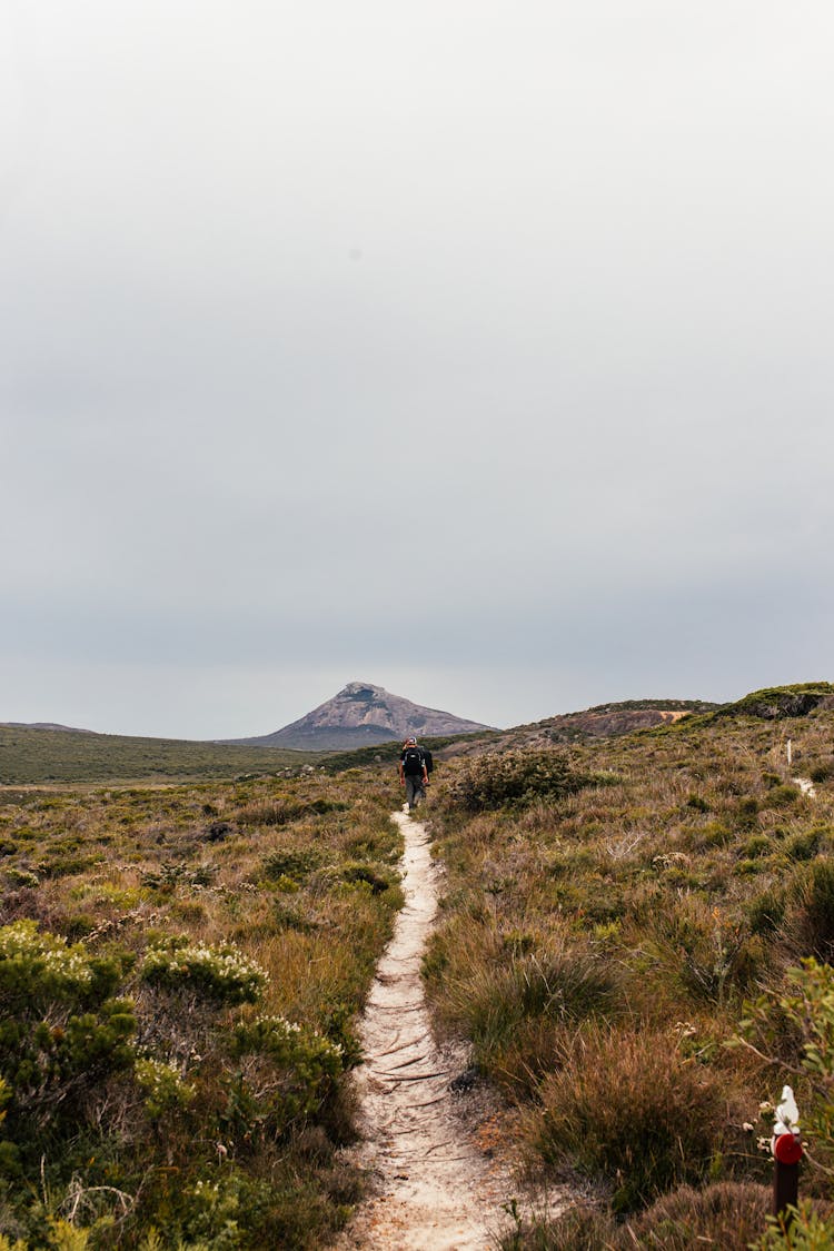 Narrow Trail On The Mountain