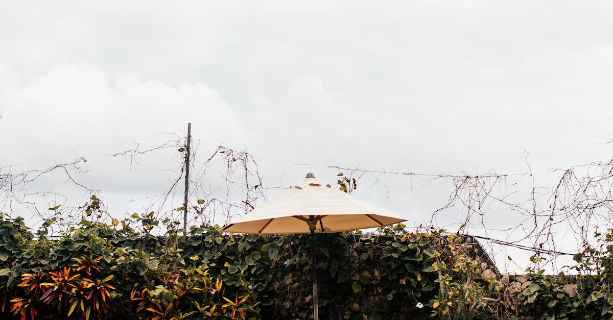 How to drain a Coleman pool fast