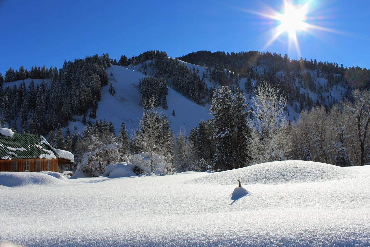 serene winter scene of snow covered mountains and forest under bright