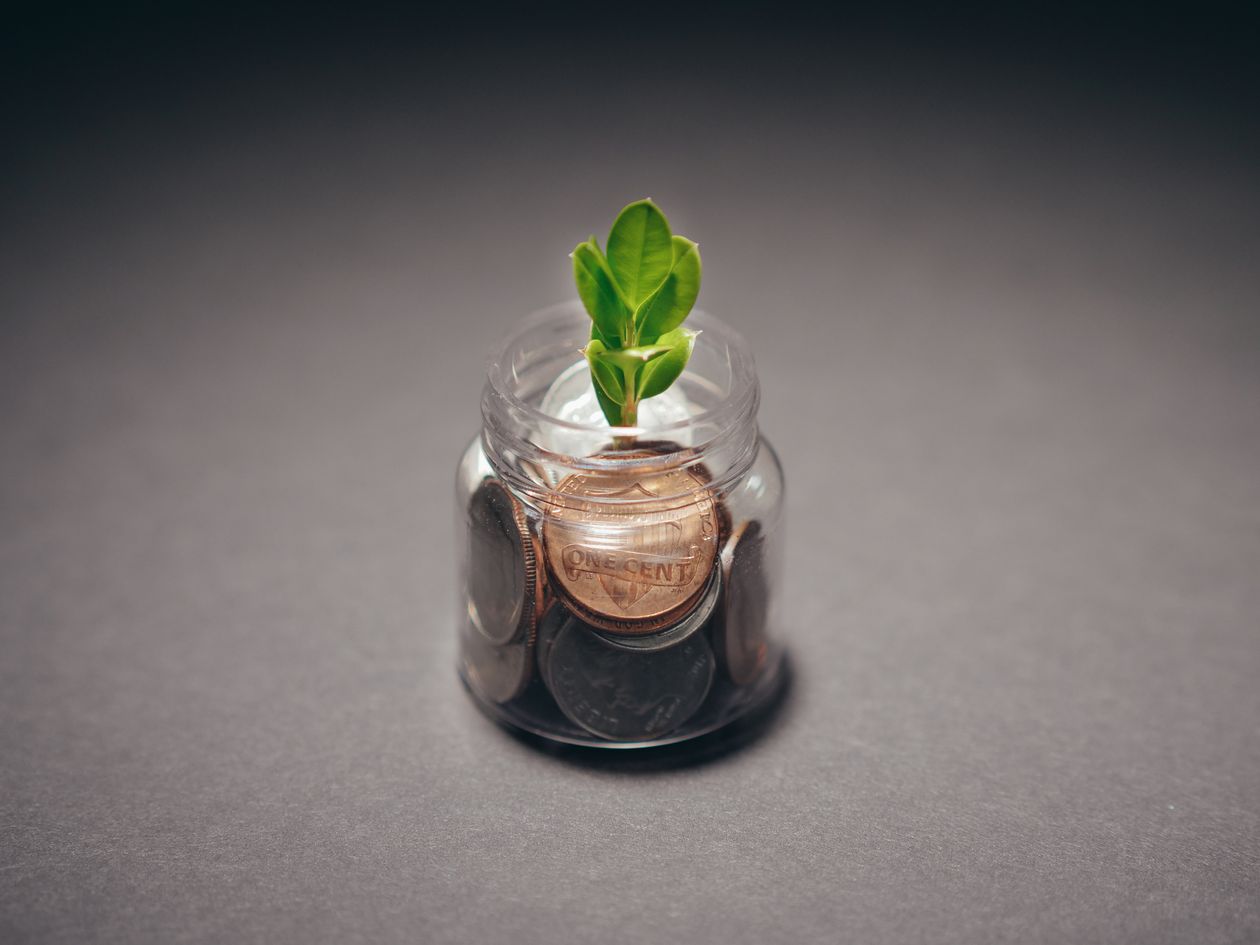 How much should an AI agency charge - plant growing from a jar of coins representing smart agency pricing
