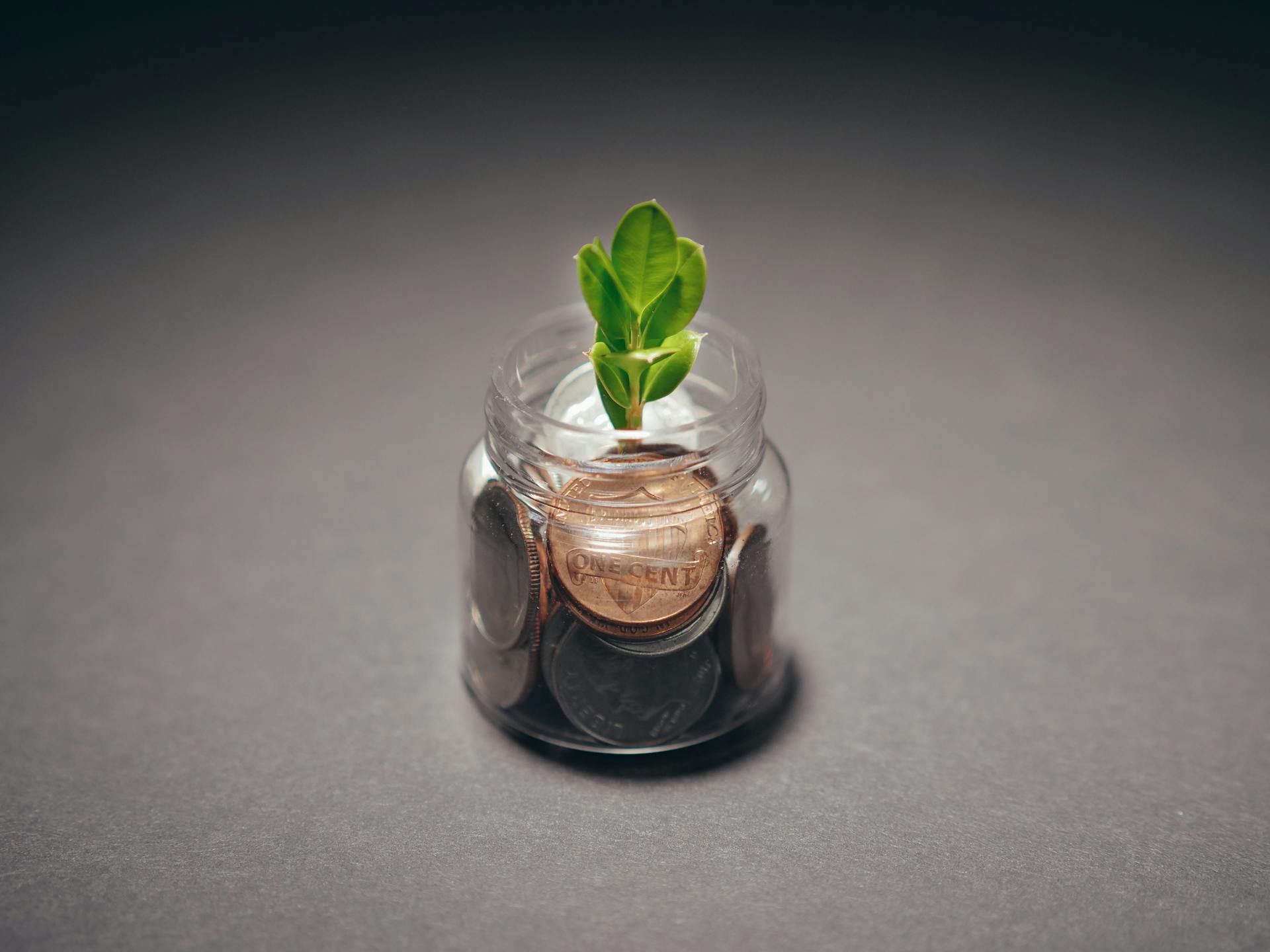 Green plant growing from a jar filled with coins, symbolizing financial growth and investment.