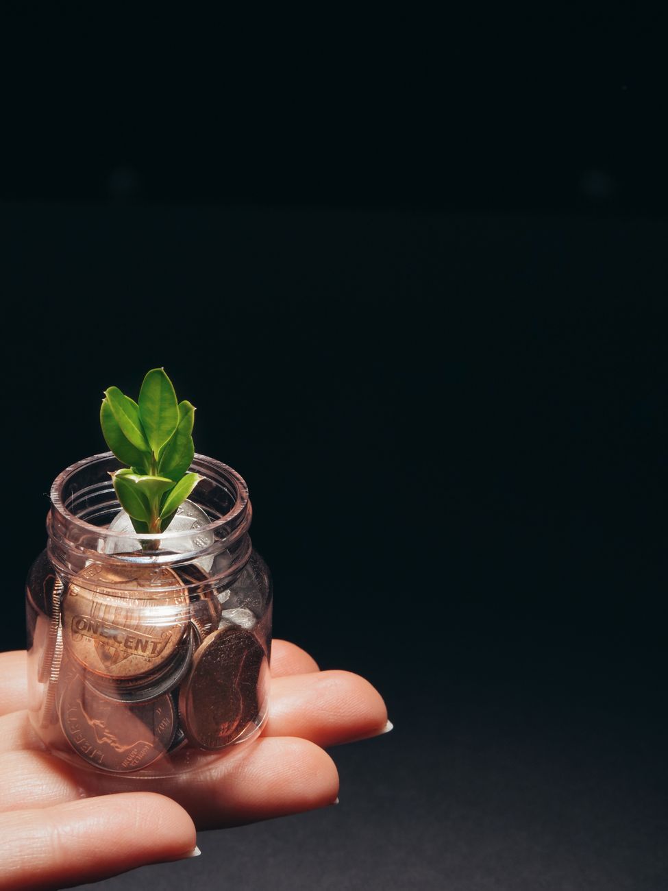 A small plant growing in a glass jar filled with coins, representing financial growth and sustainability.
