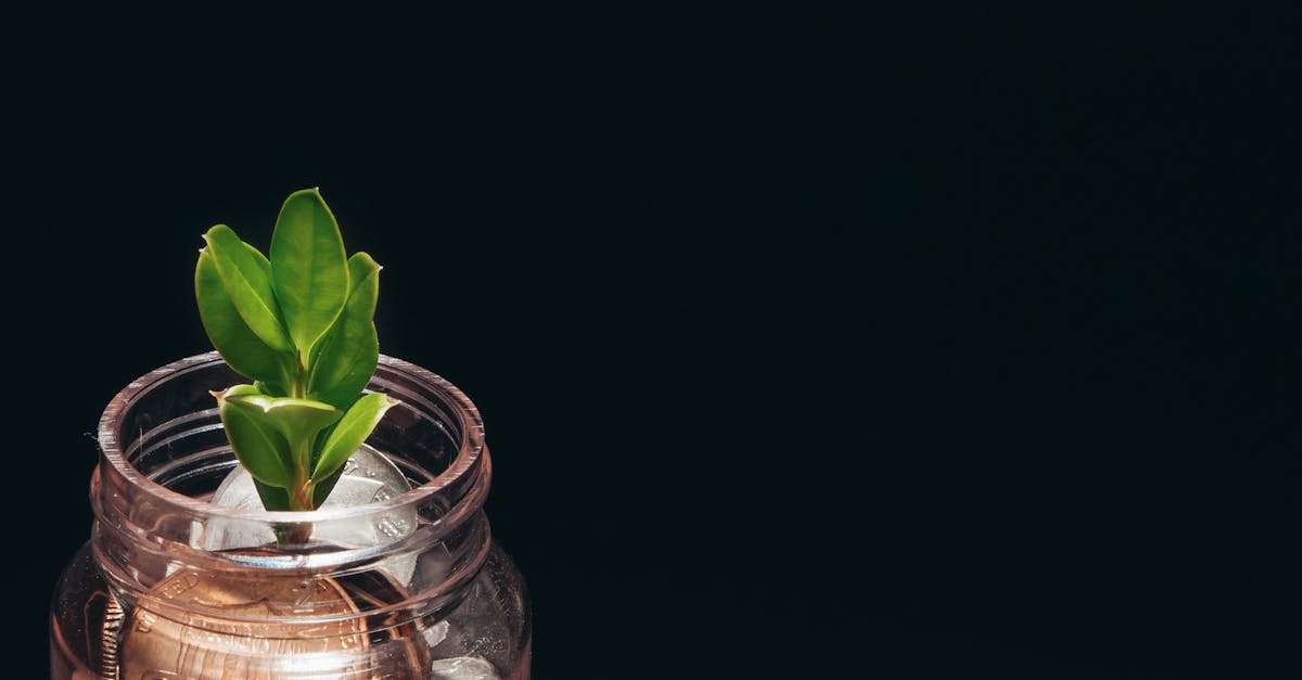 國泰奪台灣永續投資獎 ESG創新與企業議合展現永續影響力