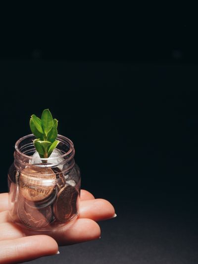 Cover for Money, Plainly Told, photo by Kindel Media on Pexels