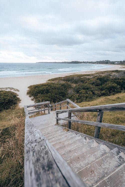 Wooden stairs leading from hill to seashore