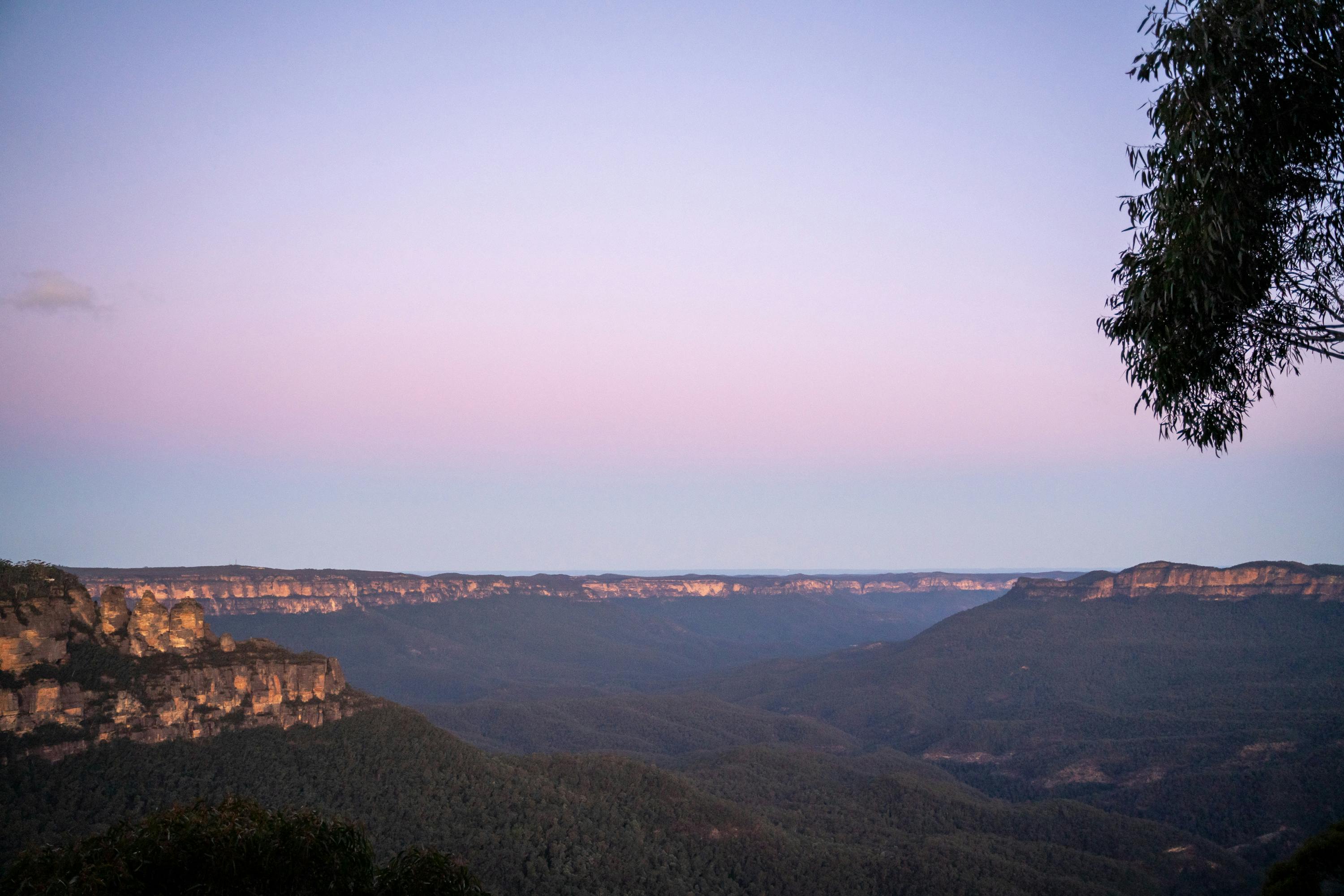 Decorated wedding venue with string lights and floral arrangements