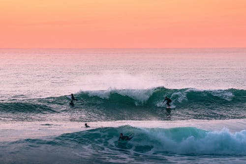 Free Picturesque scenery of surfers conquering foamy rolling waves of powerful ocean under bright orange sky at sundown Stock Photo