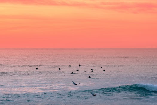 A group of surfers waits for waves under a vibrant sunset over the calm ocean.