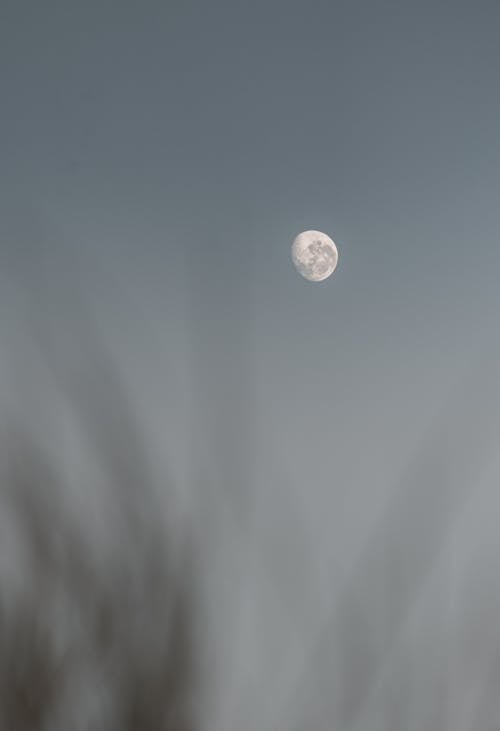 Free Black and white of rising almost full moon with craters on clear sky in daylight Stock Photo