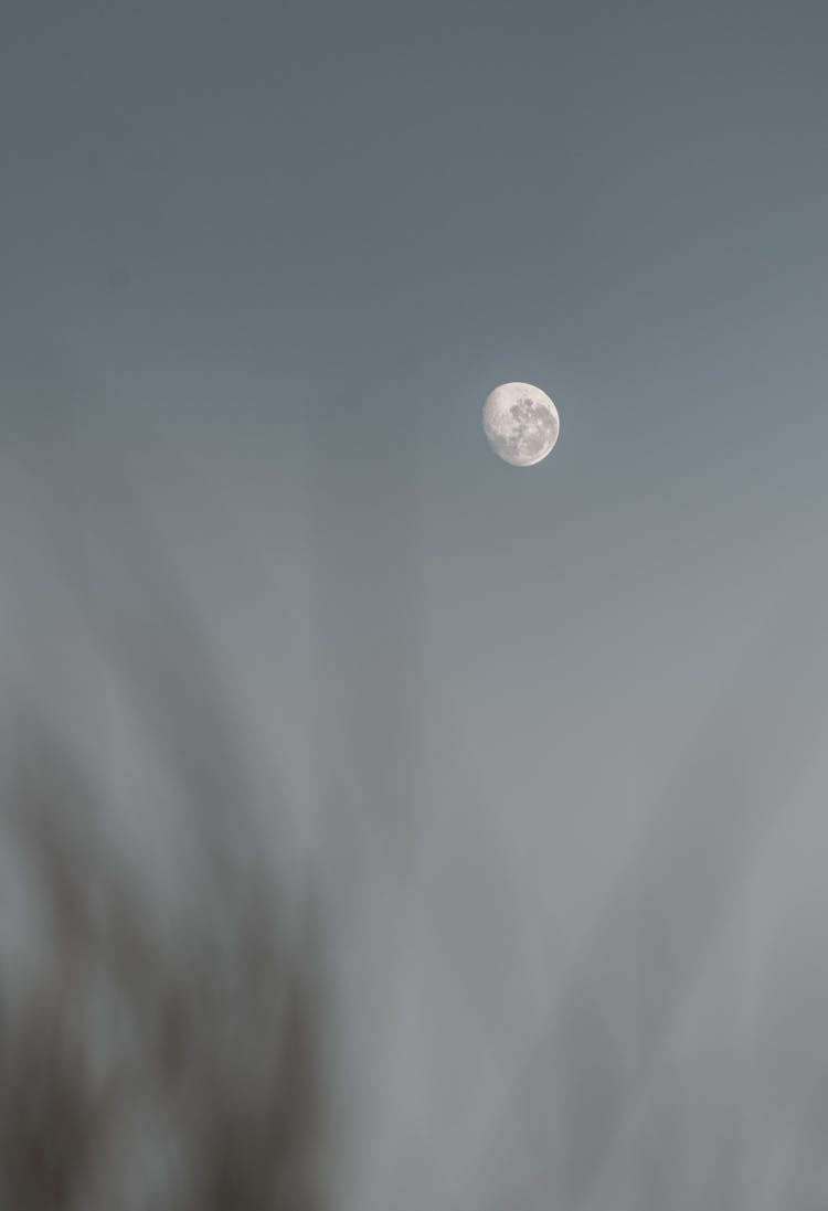 Moon On Cloudless Sky In Daylight