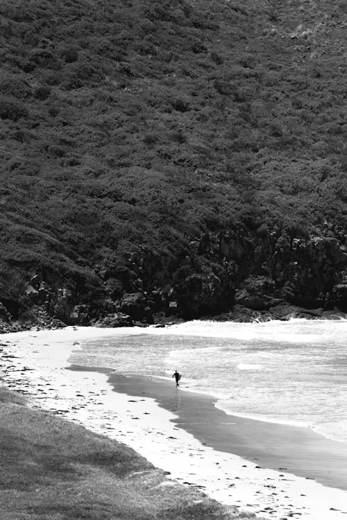 Black and white of unrecognizable tourist walking along picturesque sandy beach located near thick forest