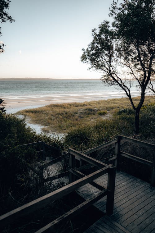 Wooden stairs with railing leading to sea