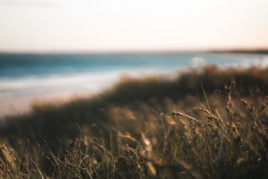Dry grass growing on grassy coast of calm sea against cloudy sky in countryside on warm windy day