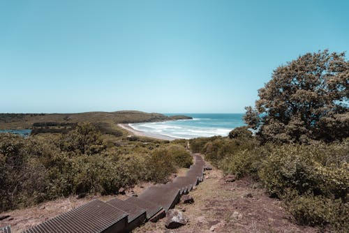 Steps Leading to a Beach