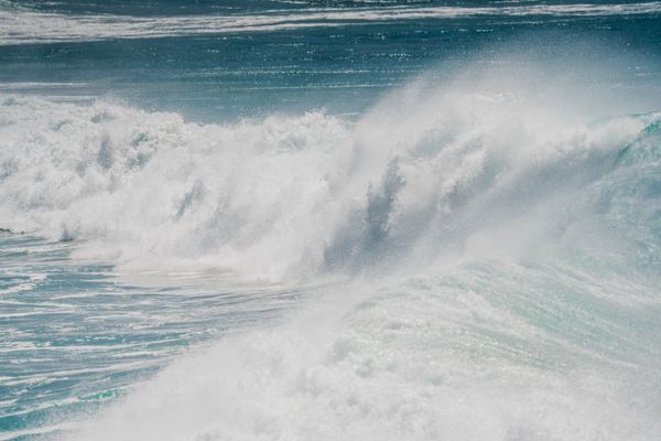 marine business insurance