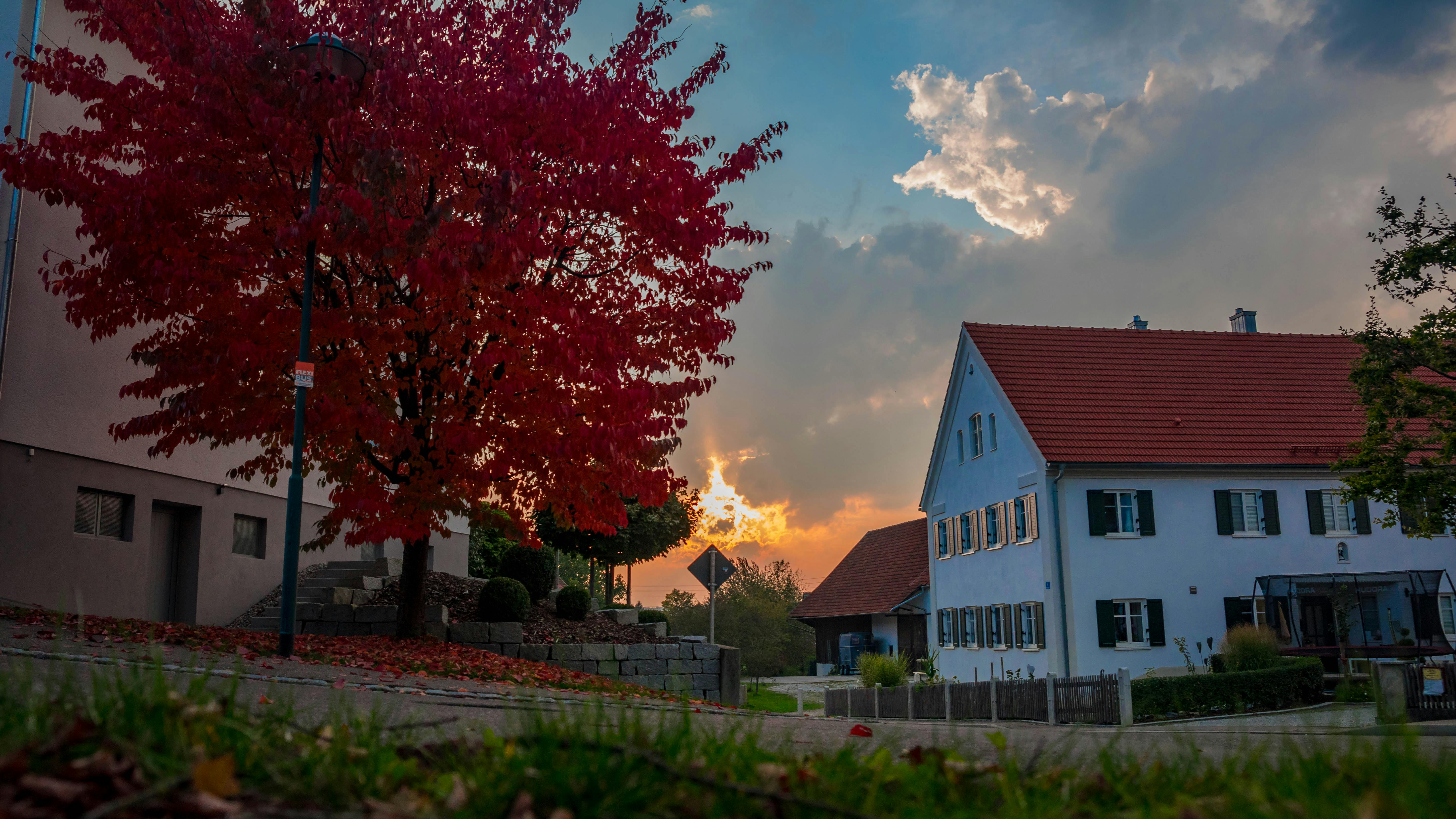 foto stok gratis tentang latar belakang desktop wallpaper hd