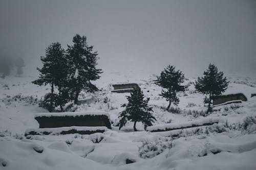Бесплатное стоковое фото с горы, деревья, дома