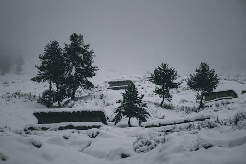 Gloomy Landscape of Mountain Houses Covered in Snow 