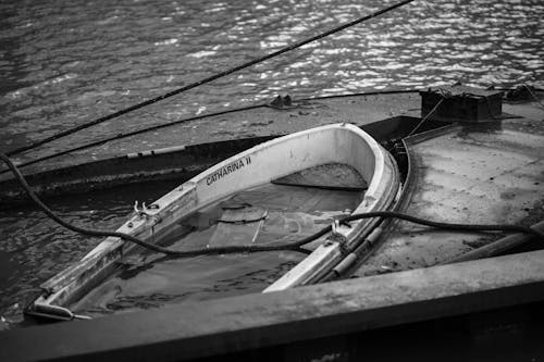 Δωρεάν στοκ φωτογραφιών με βουλιαγμένο πλοίο, νερό, Ρότερνταμ