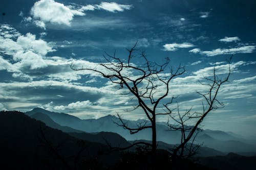 Gratuit Imagine de stoc gratuită din arbore, cer, munți Fotografie de stoc