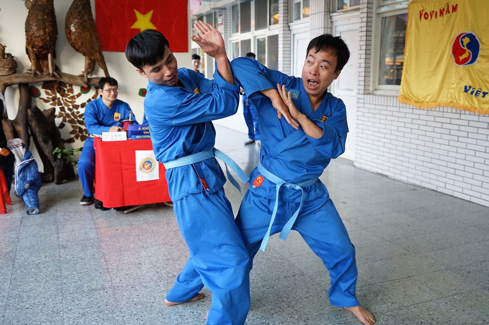 Two martial artists engage in a dynamic Vovinam demonstration showcasing Vietnamese fighting techniques.