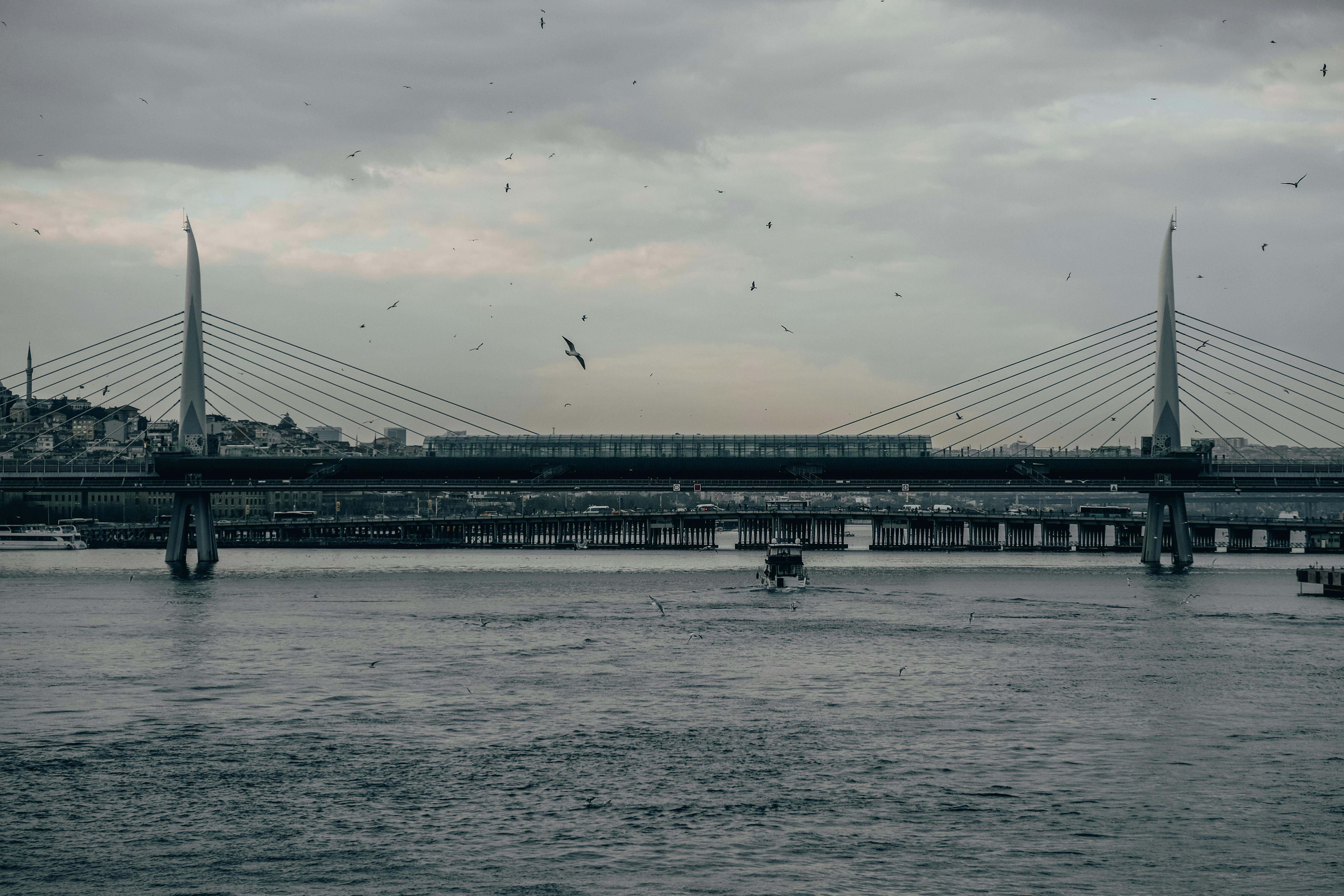 Gratuit Photos gratuites de à haubans, architecture, asie Photos