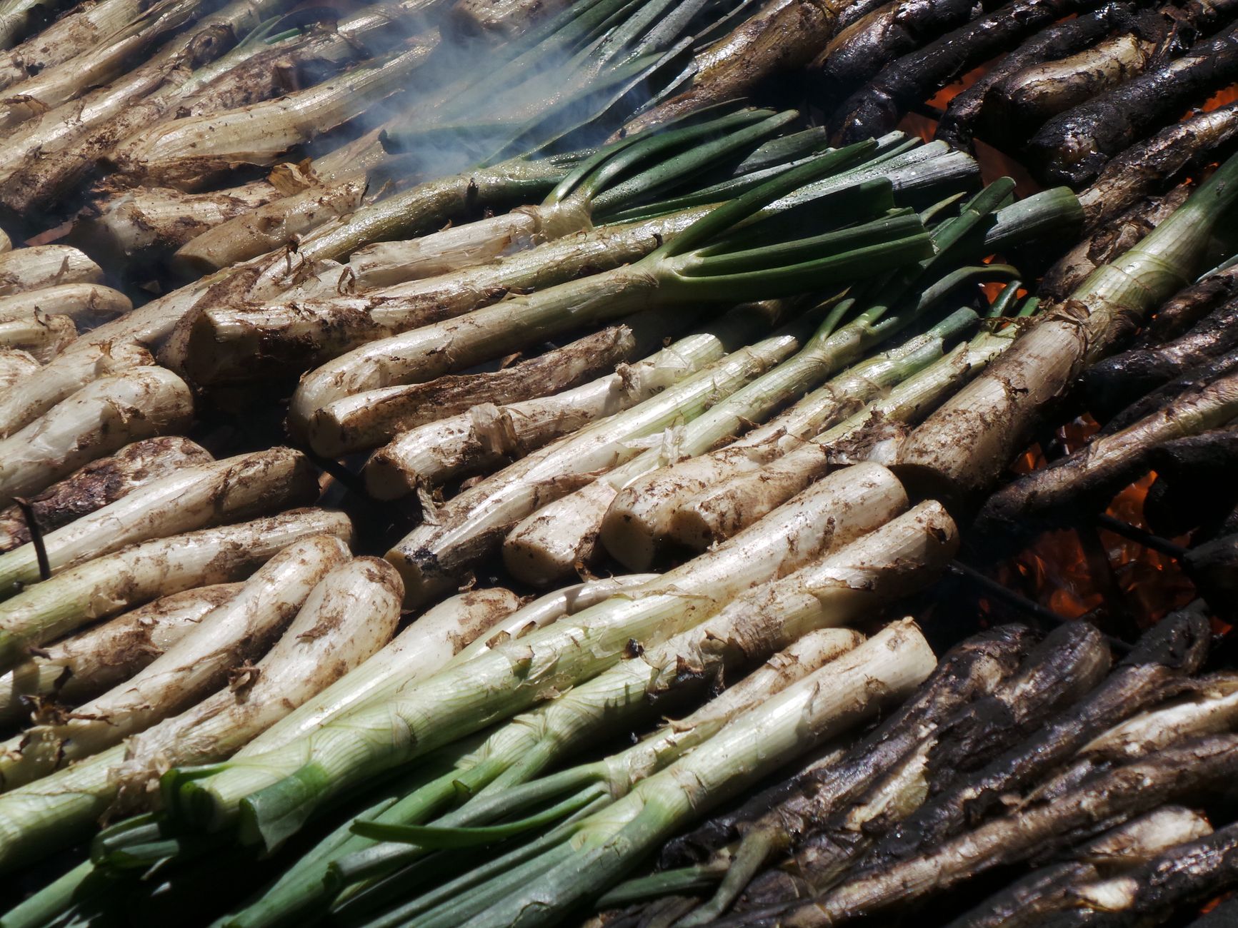 Fresh grilled vegetables served with herbs on a rustic wooden board