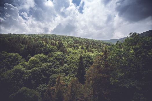 Drone view of picturesque forest growing on hills under shiny bright blue cloudy sky