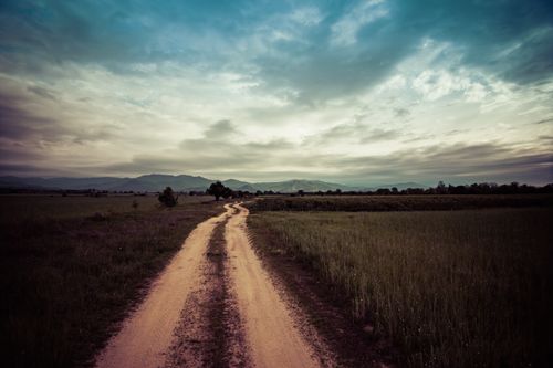 Free Road of countryside surrounded with meadow with fresh verdant grass under tranquil evening sky Stock Photo