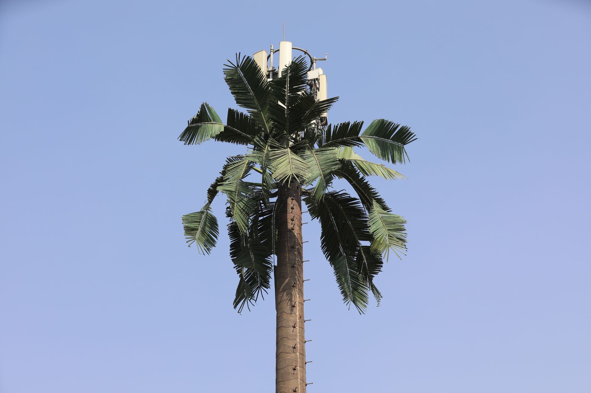 5G and Beyond: How Next-Gen Networks Transform Industries