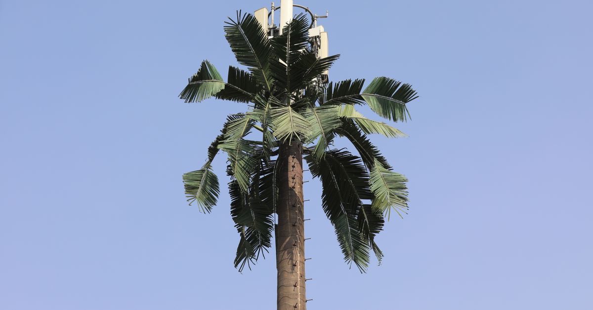 Exploring the Potential of 5G in Tripura's Remote Areas