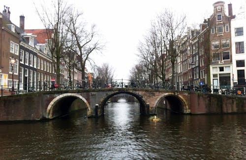 Free stock photo of amsterdam, holland