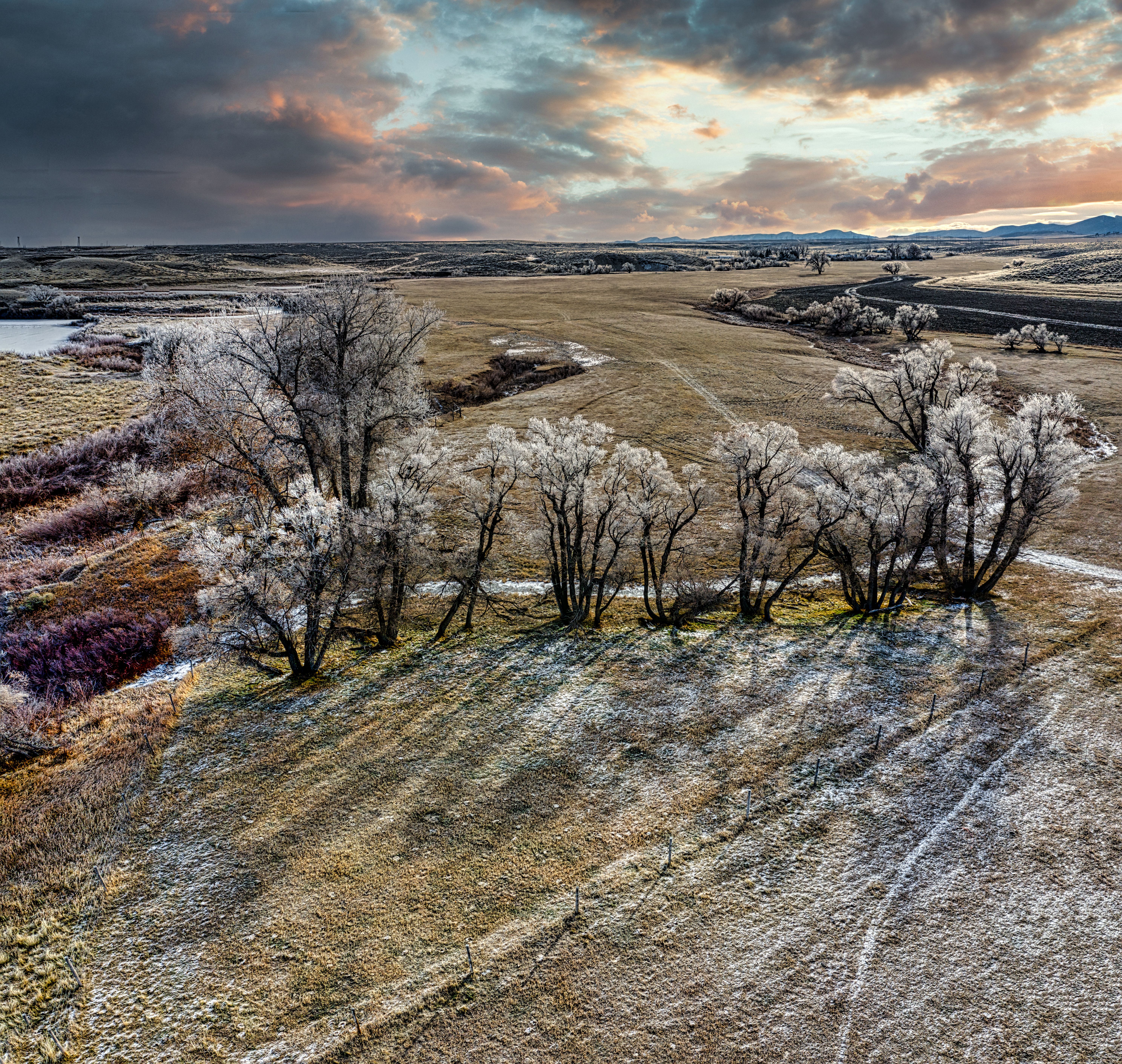 Captivating aerial photography of frosty trees in Douglas, Wyoming under a dramatic sky.