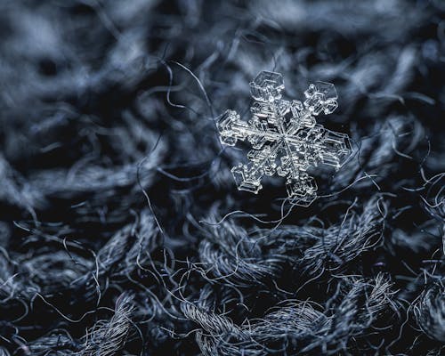 Macro shot of black tangled threads of wool fabric with translucent gentle snowflake
