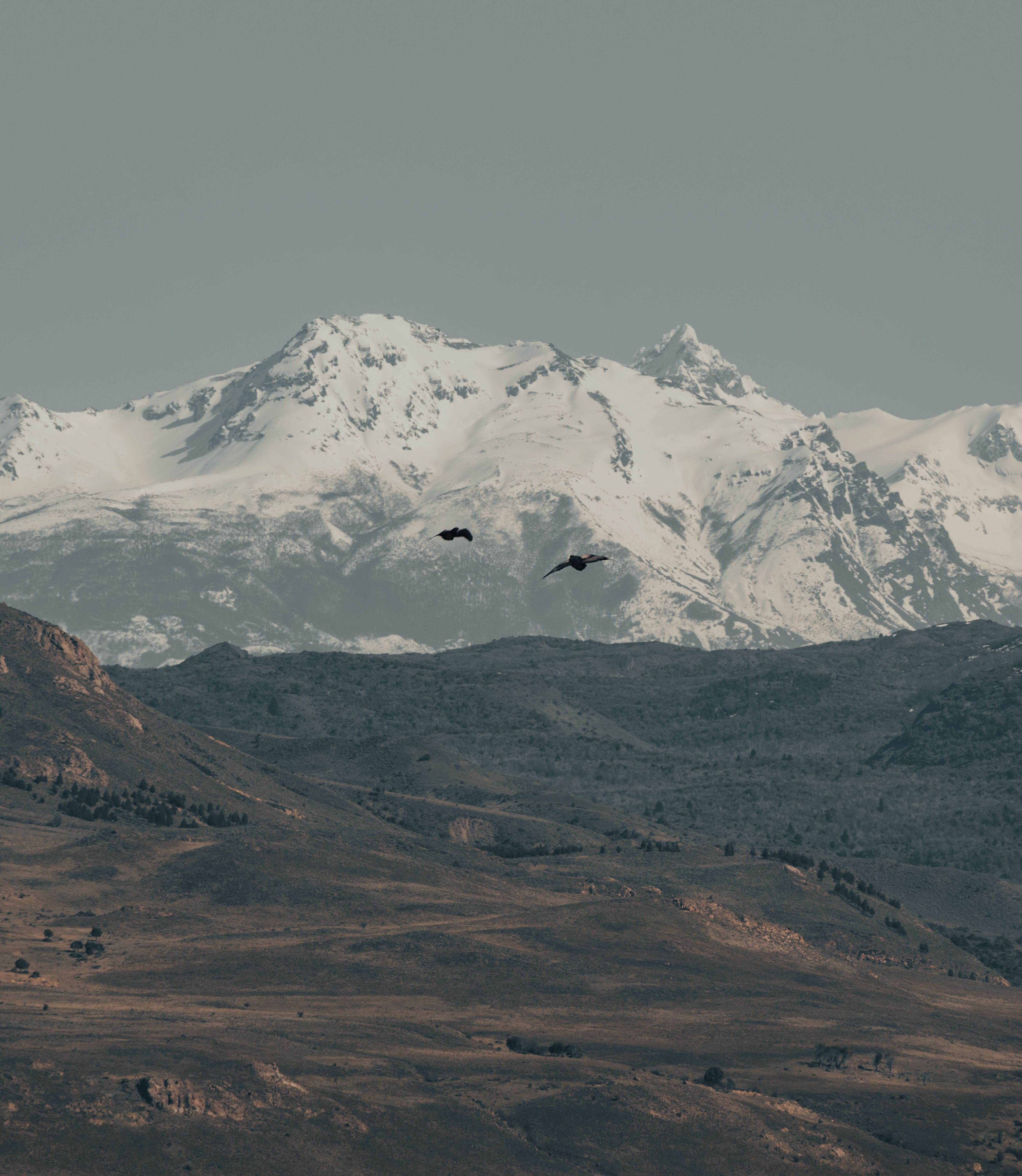 A serene winter mountain landscape with snow-covered peaks and birds flying.