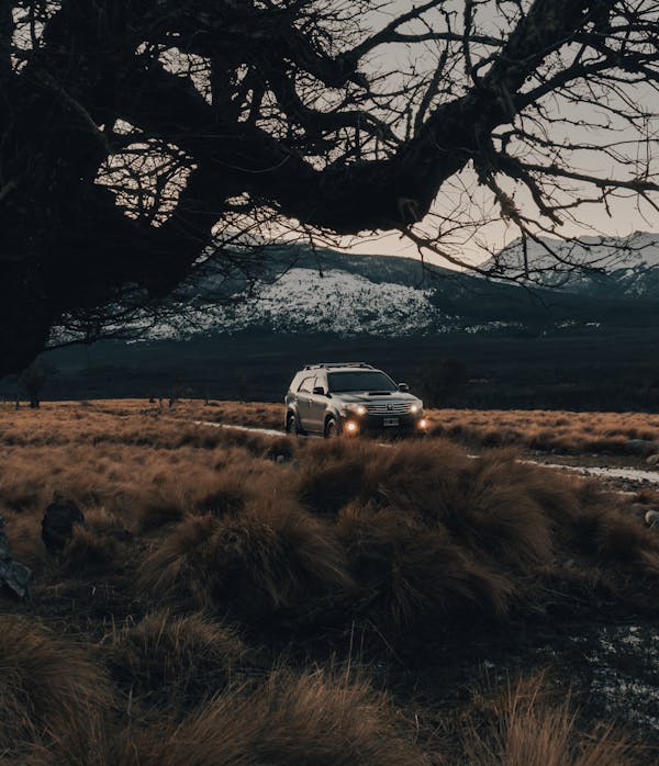 Isuzu N-Series: The Reliable and Versatile Light-Duty Truck