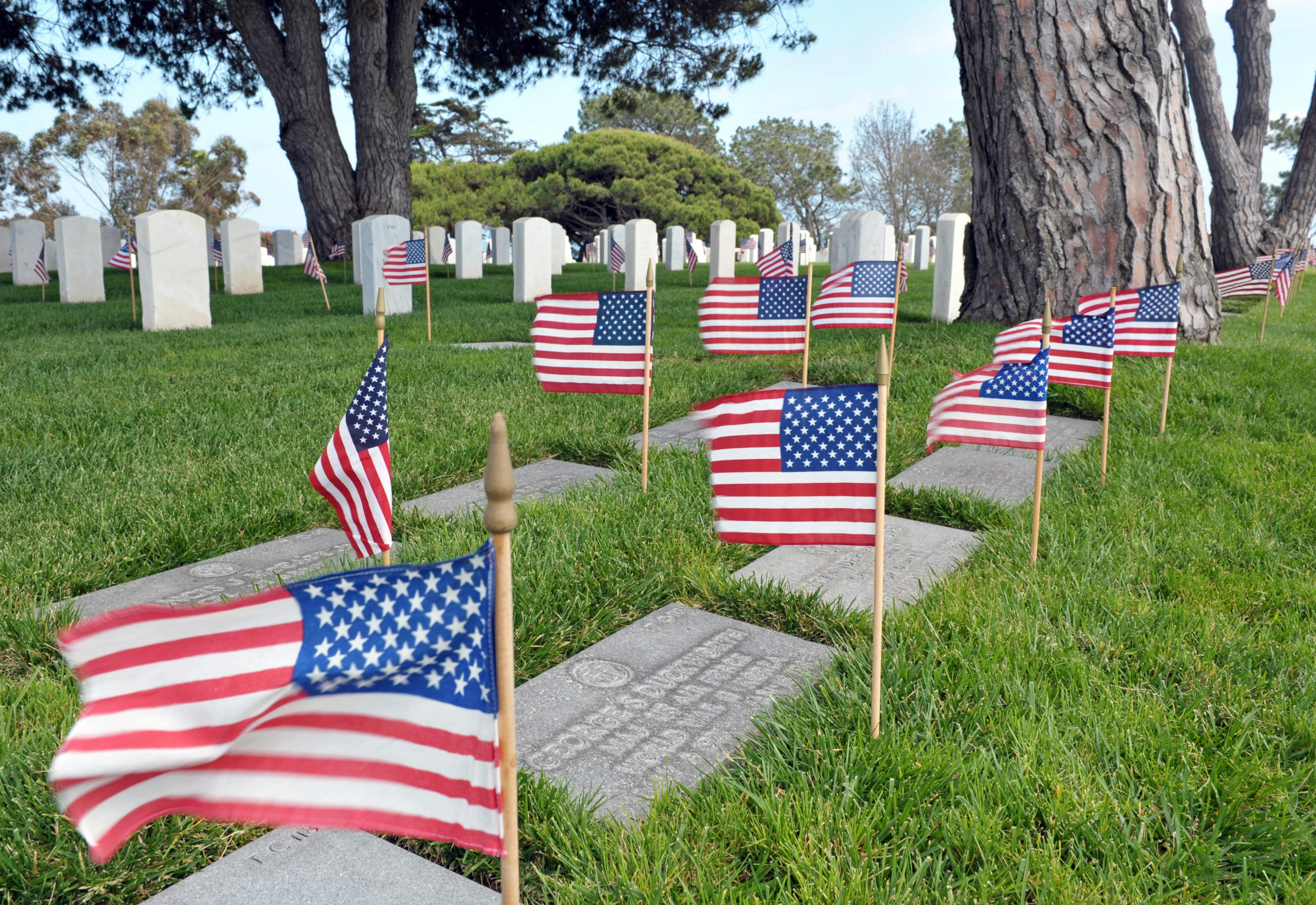 Free stock photo of American flag, graveyard, memorial day