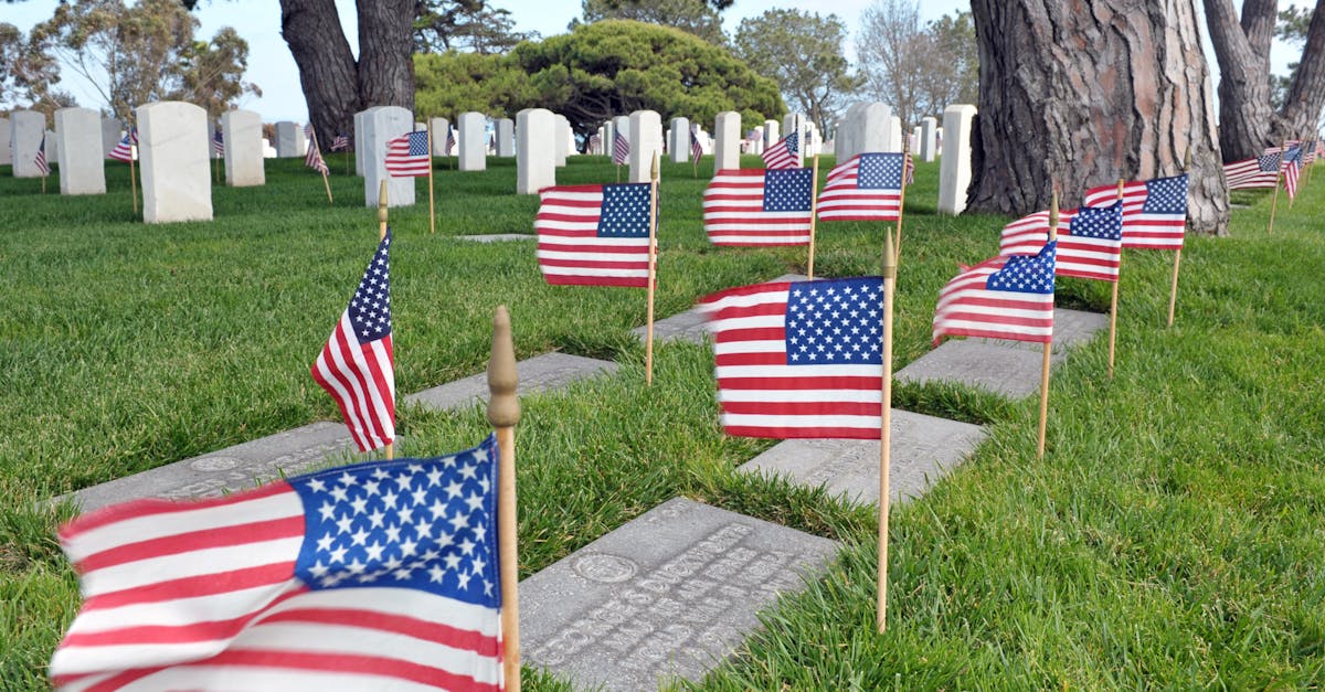 Free stock photo of American flag, graveyard, memorial day