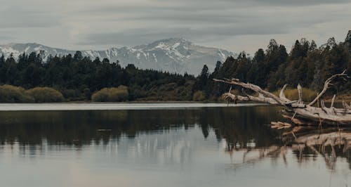 bezplatná Základová fotografie zdarma na téma hory, jezero, odrazy Základová fotografie