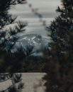 Snow Covered Mountain