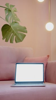 A minimalist setup featuring a laptop with a blank screen on a pink sofa with green leaves.