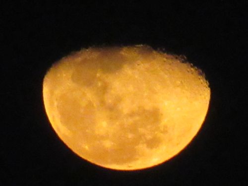 Free stock photo of crescent moon, full moon, half moon Stock Photo