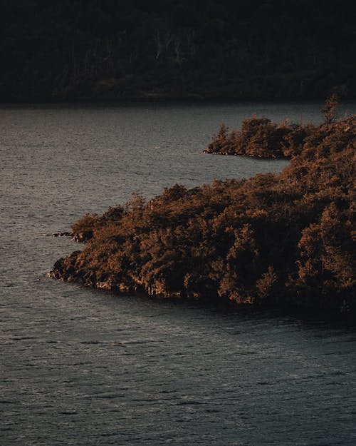 Základová fotografie zdarma na téma a, aktivní, alžírsko