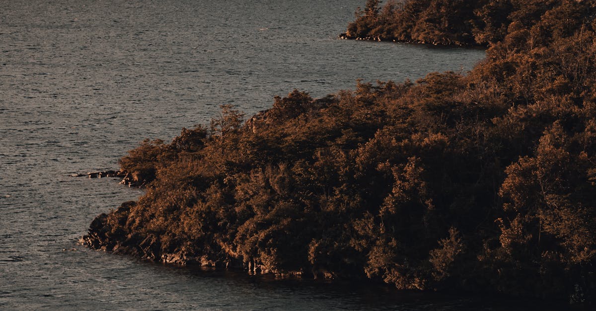 不怕錯過財神爺!刮刮樂藏「神秘英文代碼」💰✨