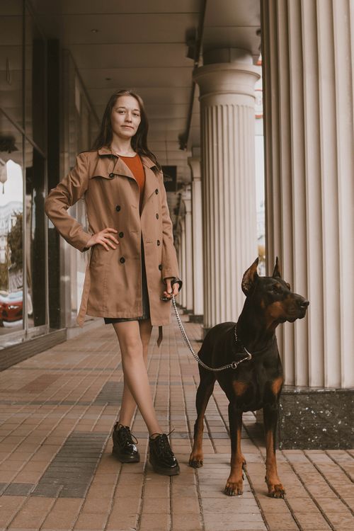Free A confident woman walks her Dobermann dog along a city street, showcasing companionship. Stock Photo