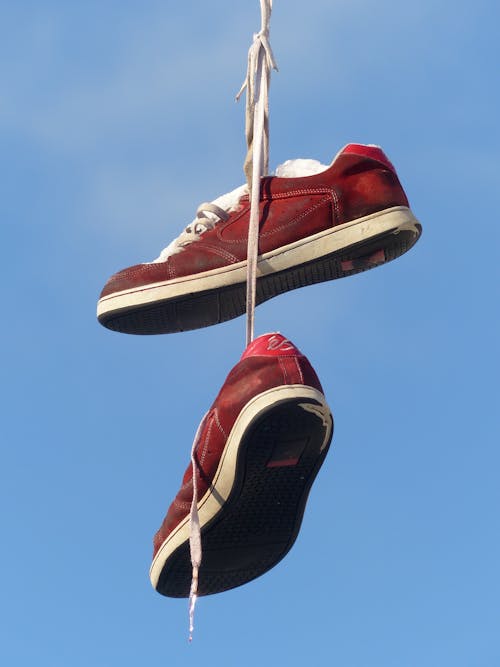 Pair of Laced-up Black Low-top Sneakers · Free Stock Photo