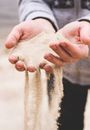 Crop unrecognizable male in casual wear with sand flowing from hands while standing on coast