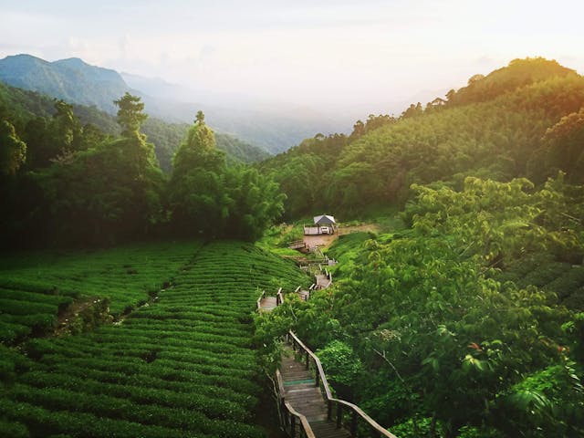 【普洱茶知识】普洱茶泡的总是不好喝？也许是你忽略重要的一步