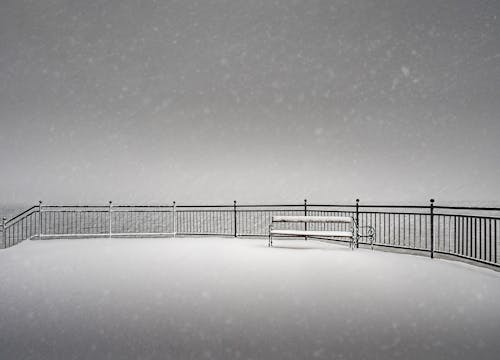 бесплатная Заснеженная скамейка в снежный день Стоковое фото
